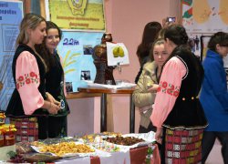 Дегустація